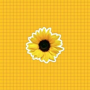 Closet everything must go